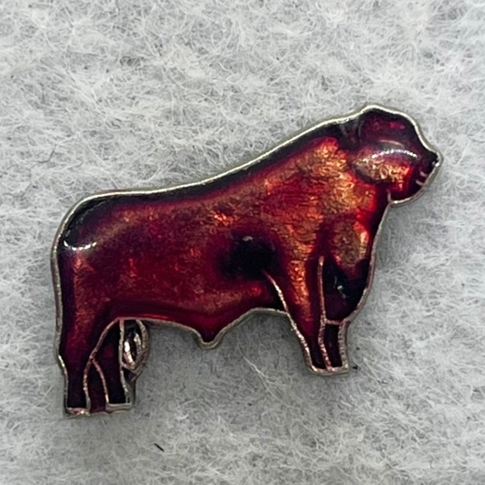 🔮 5/$25 Vintage Red Cow Pin